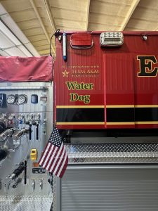 Water Dog